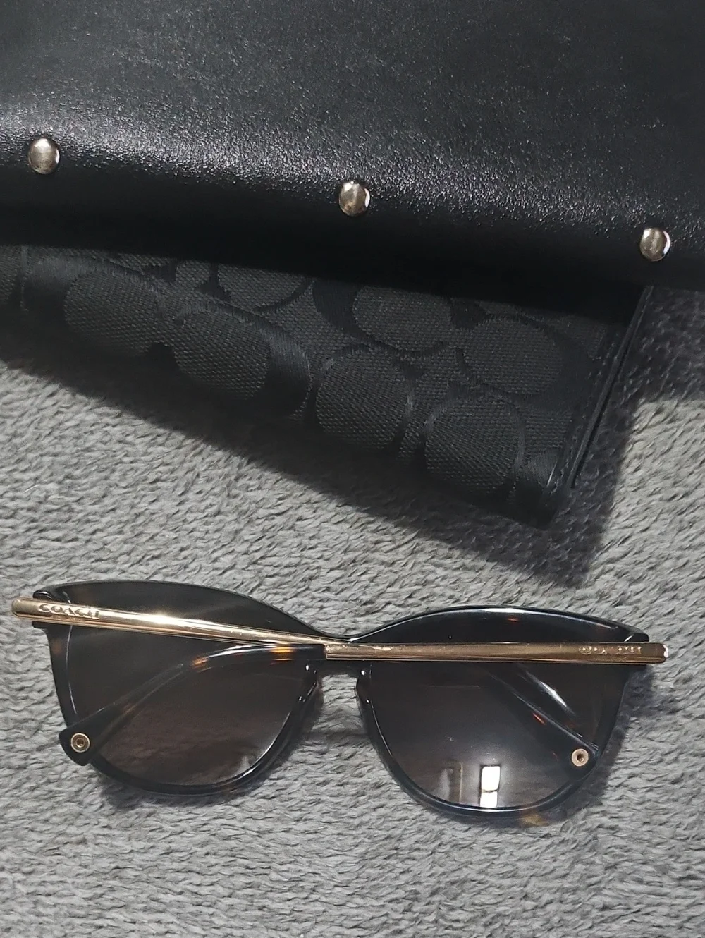 Coach Womens Designer Sunglasses